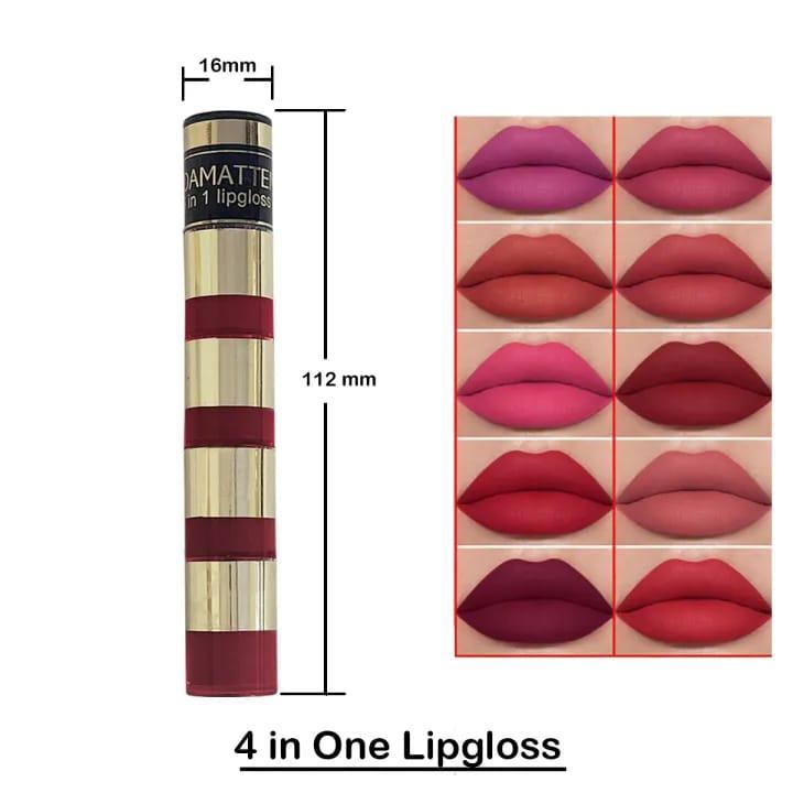 4 in 1 Matte Lip Gloss Red Pink Long Lasting