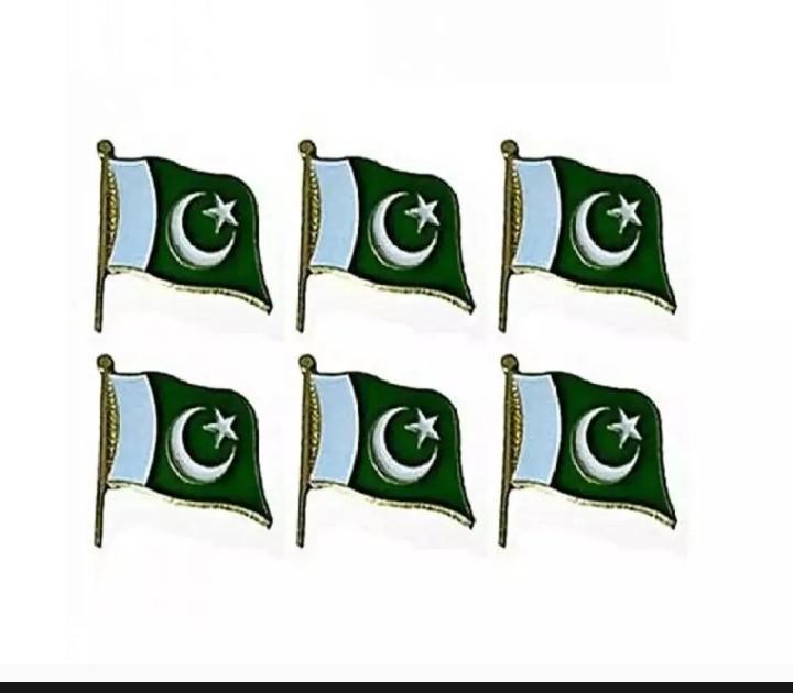 6Pcs Metal Pakistan Flag Badges for Independence Day Celebrations